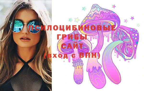 сатива Алзамай