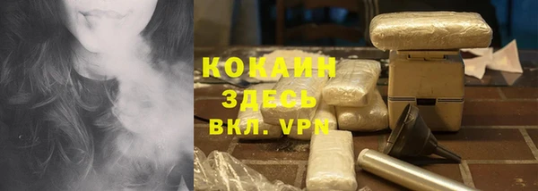сатива Алзамай