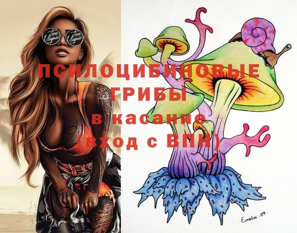 хмурый Пестово
