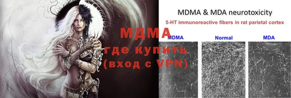 стафф Алексин