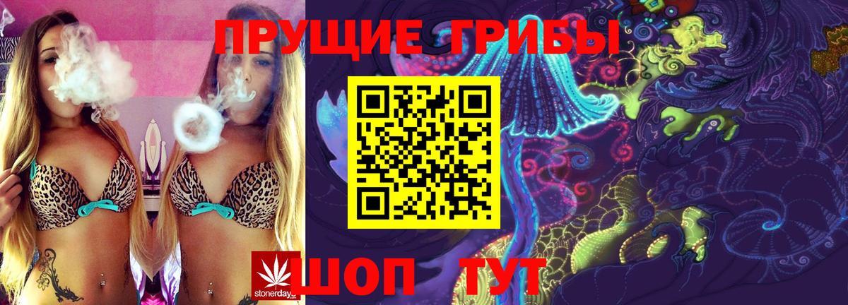 Ухта  Псилоцибиновые грибы Cubensis  Вход с VPN  Галлюциногенные грибы прущие грибы 