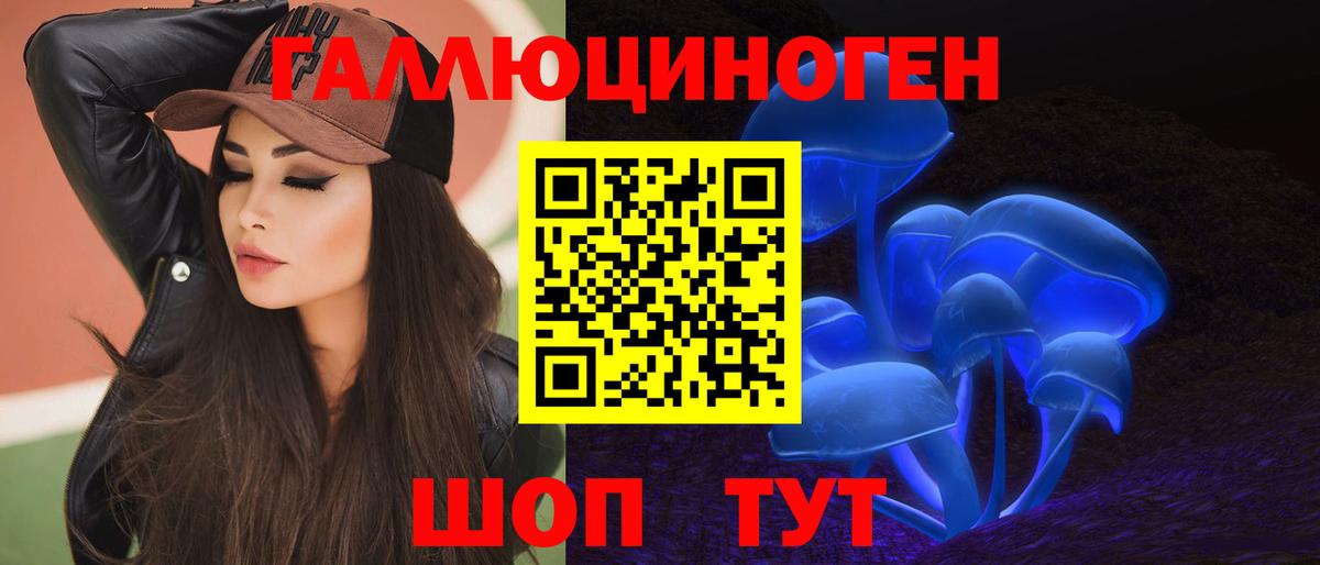 Галлюциногенные грибы Psilocybine cubensis Ухта
